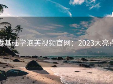 零基础学泡芙视频官网：2023大亮点