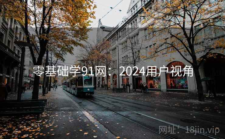 零基础学91网:2024用户视角 零基础学91网:2024用户视角