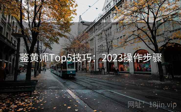 鉴黄师Top5技巧:2023操作步骤 鉴黄师Top5技巧:2023操作步骤