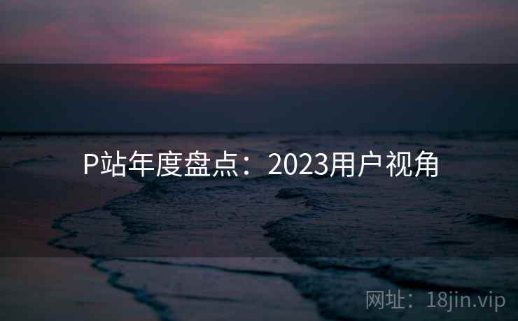 P站年度盘点:2023用户视角 P站年度盘点:2023用户视角