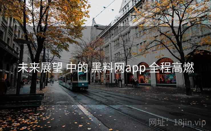 未来展望 中的 黑料网app 全程高燃 未来展望 中的 黑料网app 全程高燃