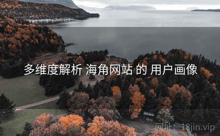多维度解析 海角网站 的 用户画像