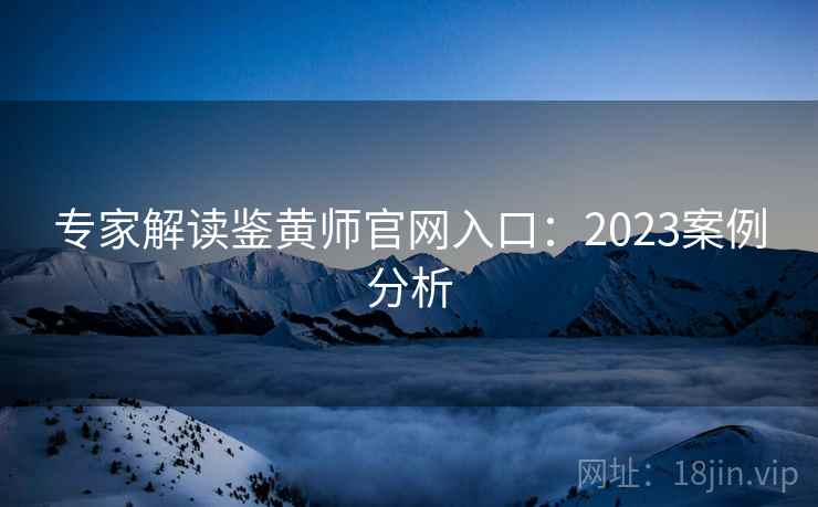 专家解读鉴黄师官网入口:2023案例分析 专家解读鉴黄师官网入口:2023案例分析