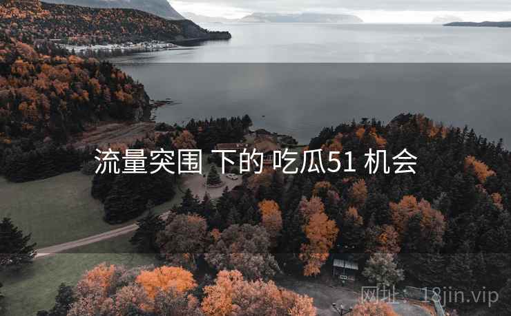 流量突围 下的 吃瓜51 机会